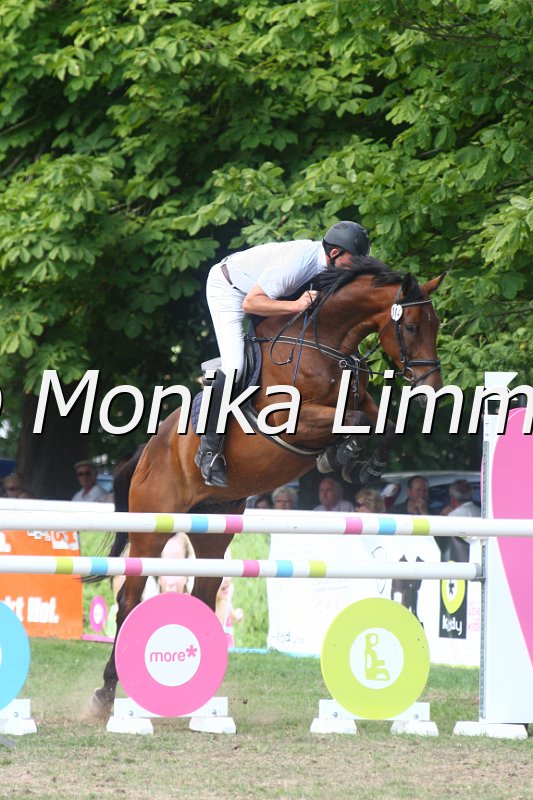 308M3766_Clint_Springpferde Mx.JPG